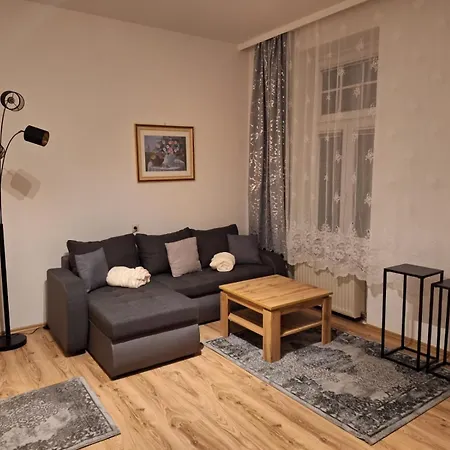 Scs Naehe * 维也纳新村