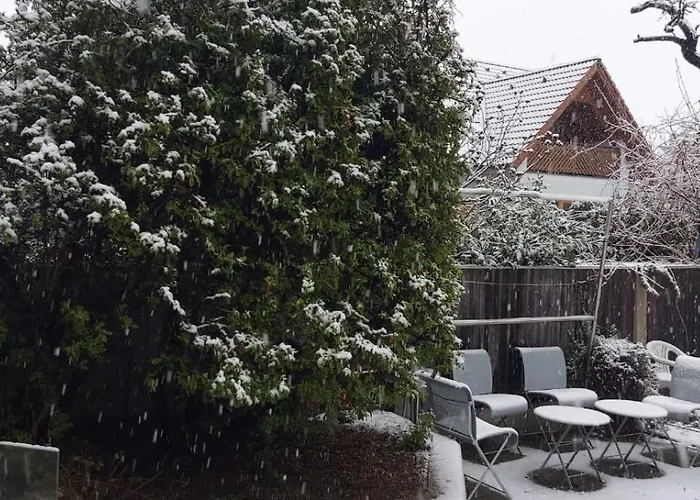 Scs Naehe * Wiener Neudorf